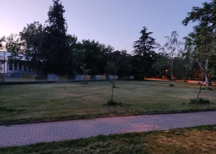 Zozi Urban Studio