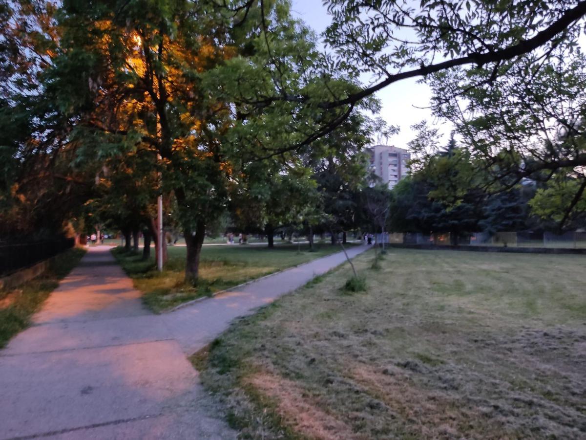 Zozi Urban Skopje