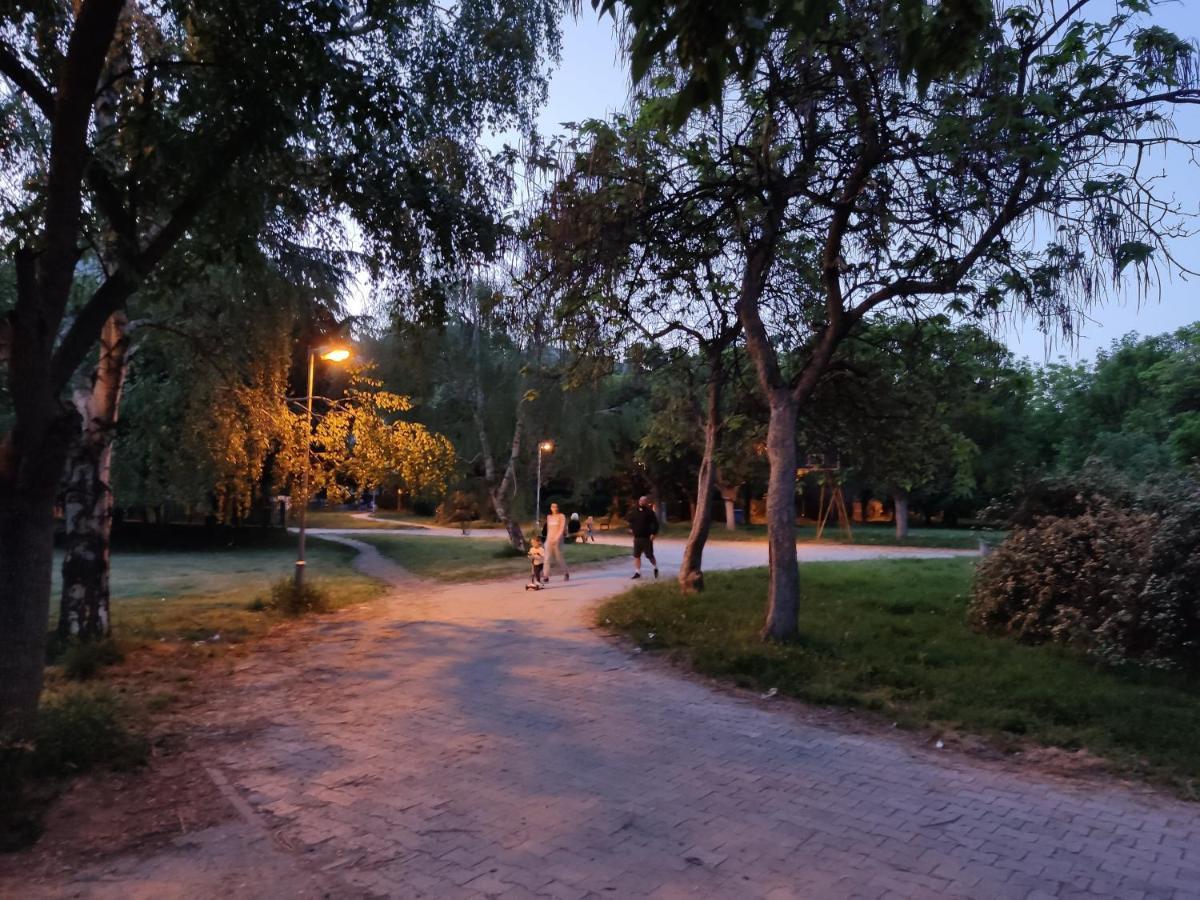 Zozi Urban