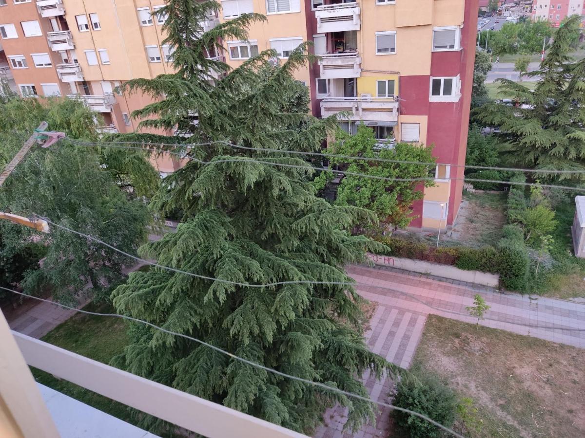 Zozi Urban Apartament *